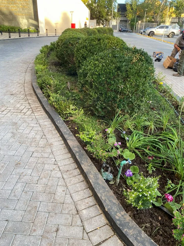Cantero con adoquines y plantas de estación