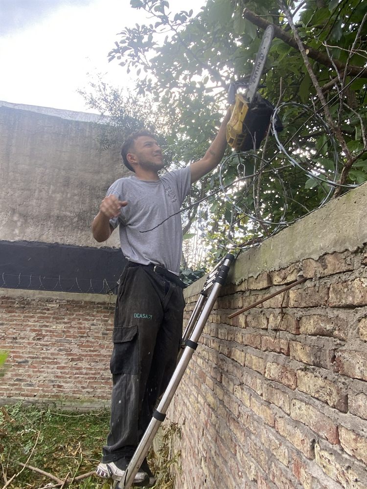Operario podando un árbol en altura