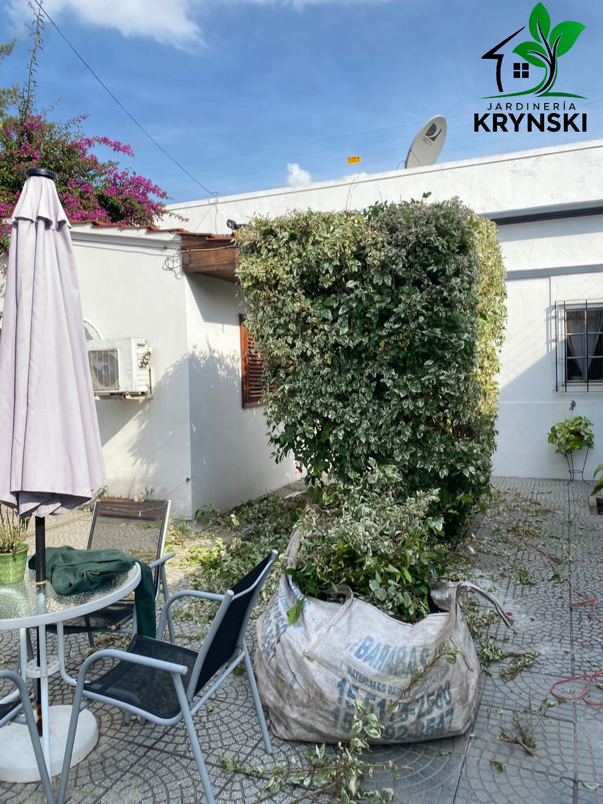 Jardineria krynski